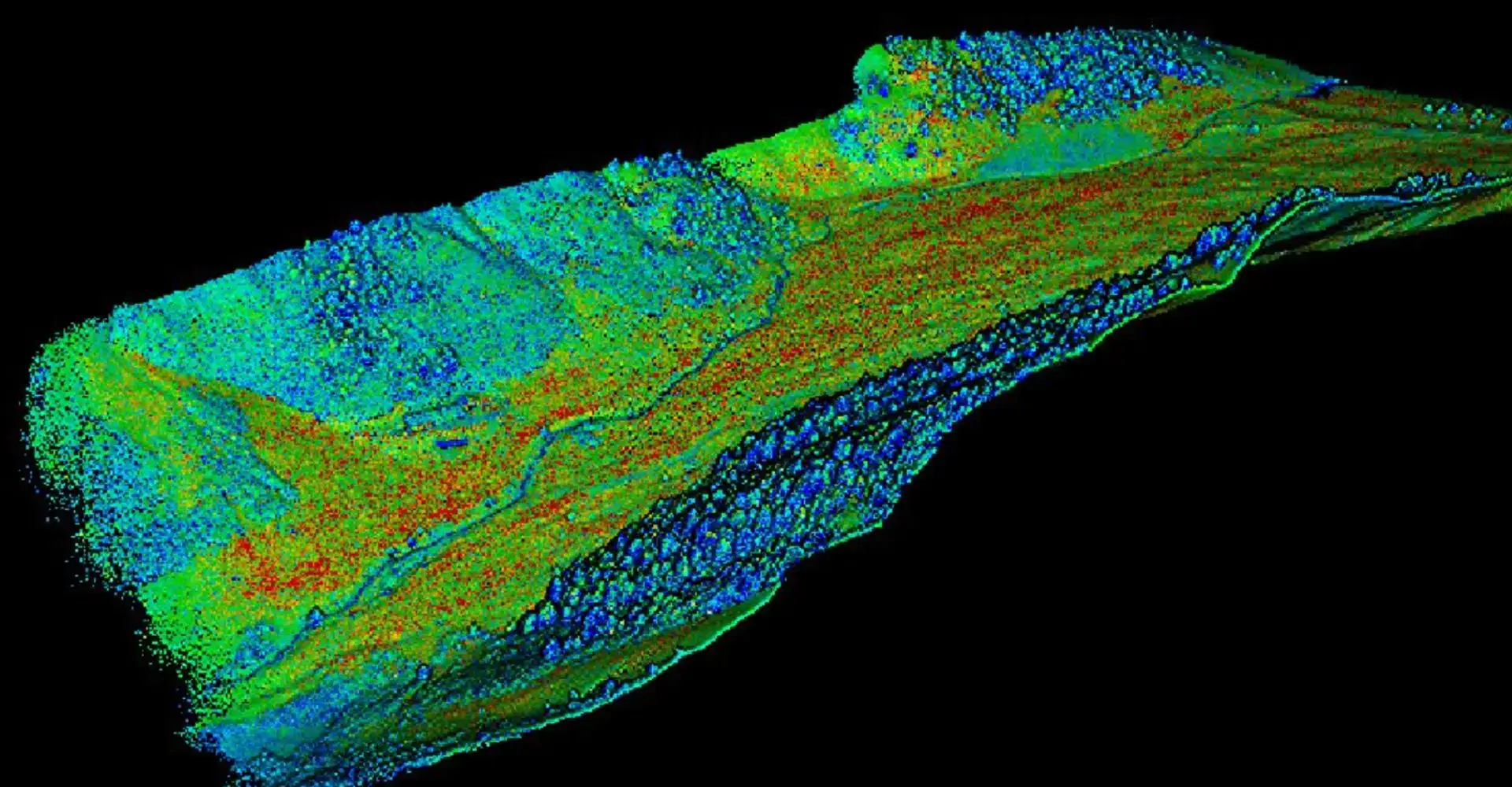 Matrice 350 RTK photogrammetry